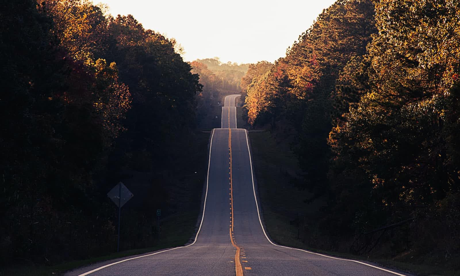 Embarking on Your Coding Journey: A Guide for the Beginner Programmer